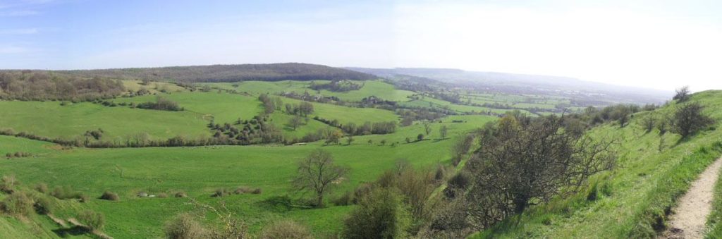 Landscape view