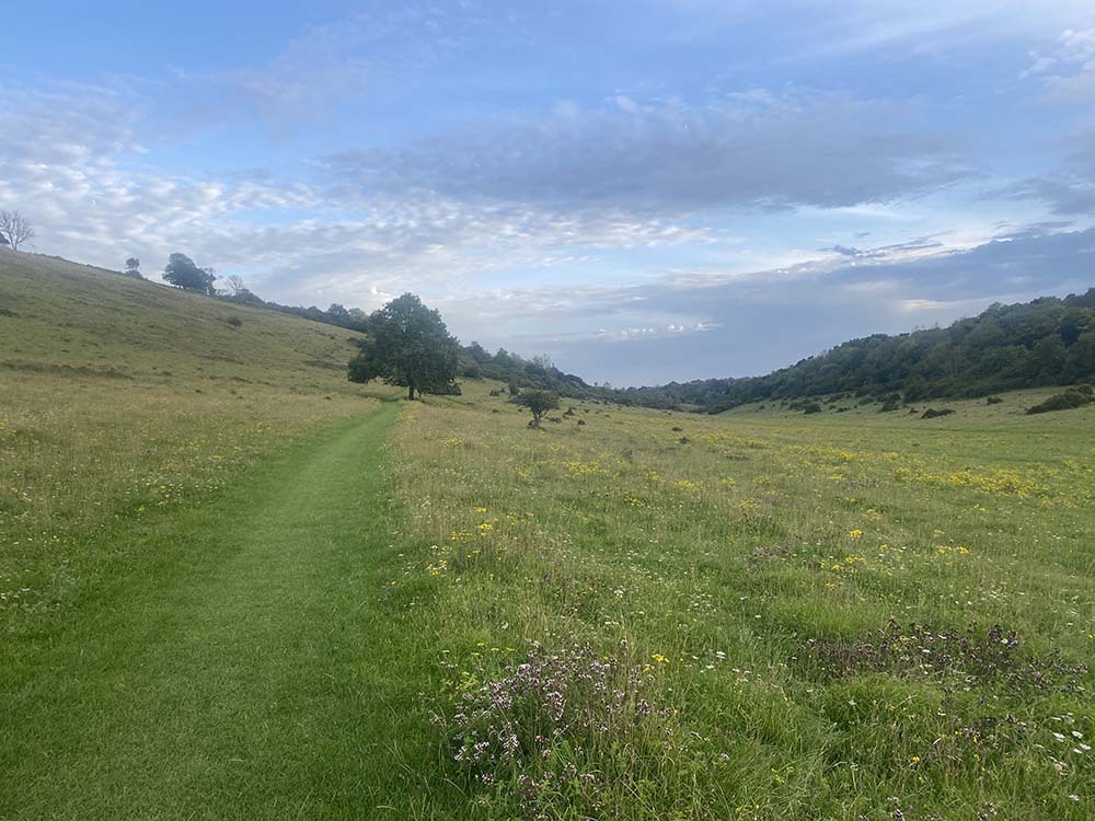 Harting Downs